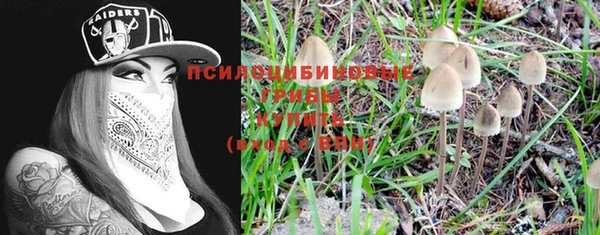 шишки Майский