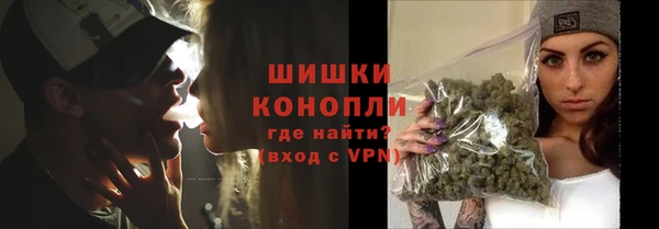 индика Магадан