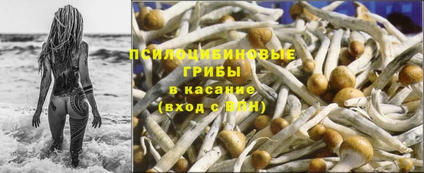 шишки Майский
