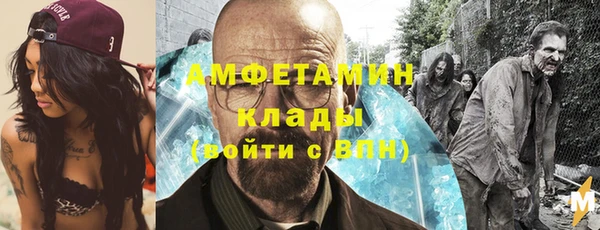 шишки Майский
