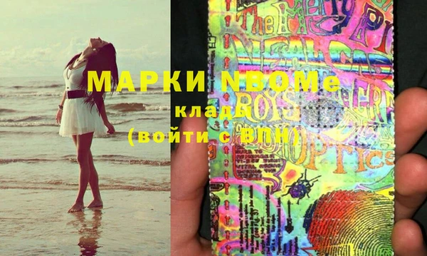шишки Майский