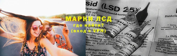 шишки Майский