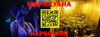 сатива Кингисепп