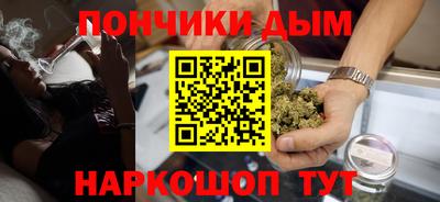 сатива Кингисепп