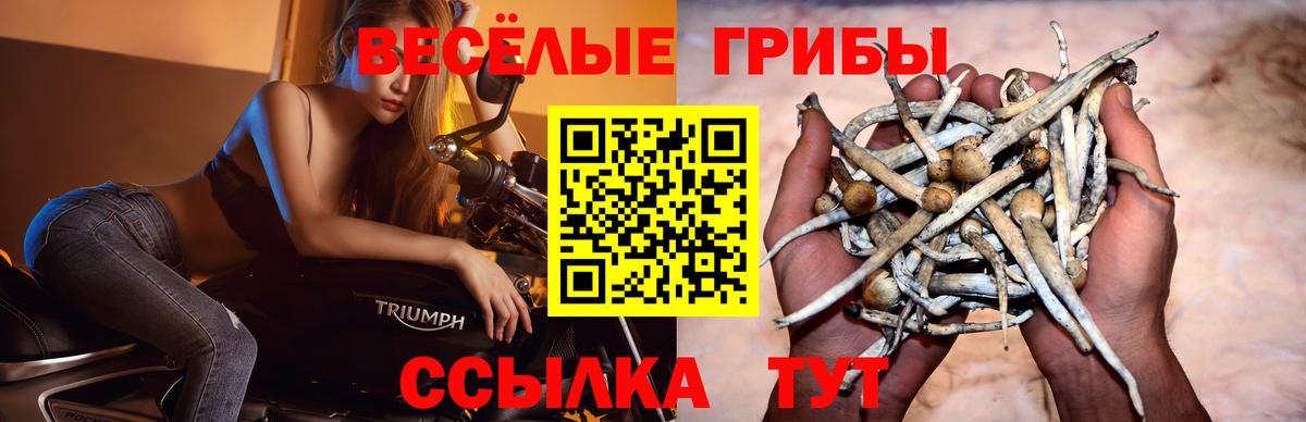 Псилоцибиновые грибы мухоморы  Вход с VPN  Псилоцибиновые грибы Magic Shrooms  Прокопьевск 