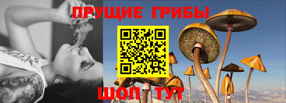 Alpha-PVP Прокопьевск