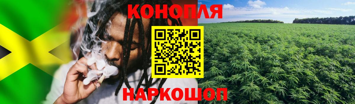 Конопля Bruce Banner Прокопьевск